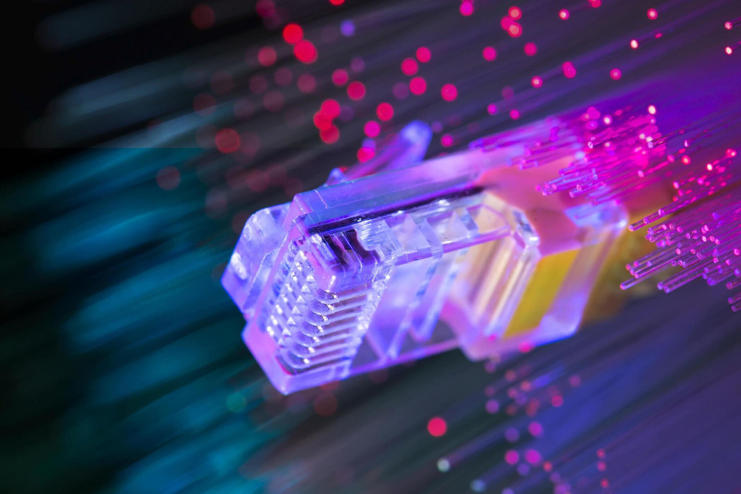 Maintaining Momentum Through Talent Development in the UK Fibre Sector