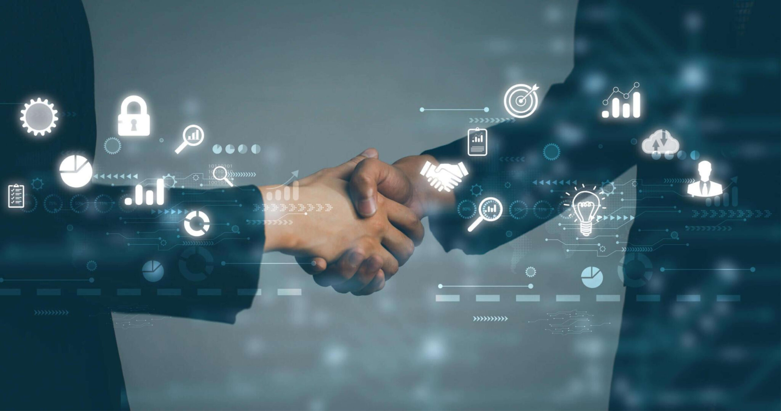 NETS supplies technical human resources to leading KSA clients and partners