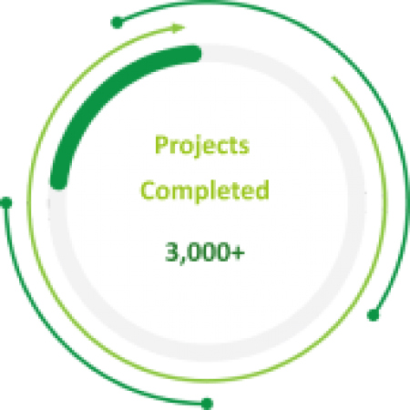 3000+ Projects Completed